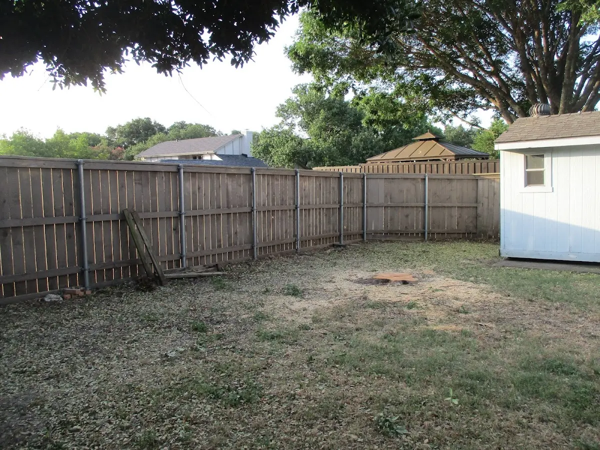 Cleared yard after professional tree removal in Blairs Mills